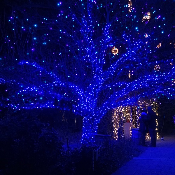 Meet your Posher, Emma - Picture 1 of 1